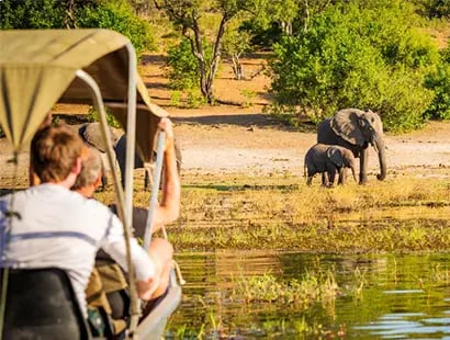 boat-safari