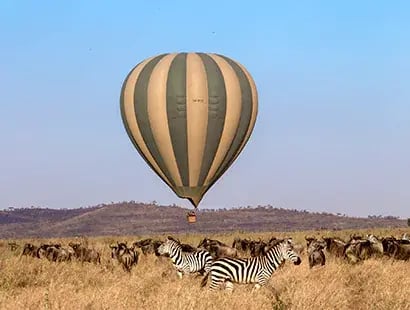 hot-air-balloon